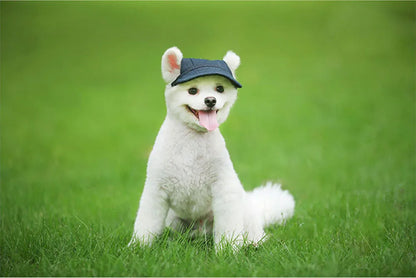 Dog Sun Hat - Adjustable Baseball Cap with Ear Holes for Small, Medium, and Large Dogs