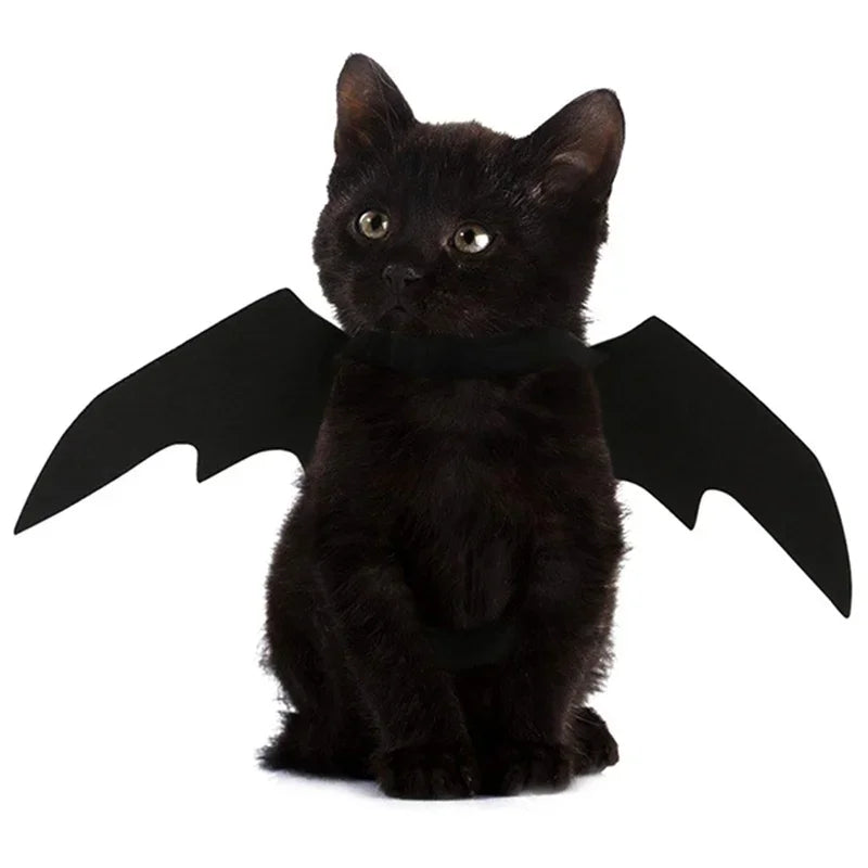 Halloween Bat Wing Harness for Pets