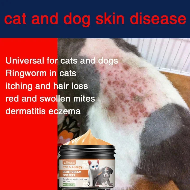 Special Care Ointment for Cats and Dogs, Skin and Fungal Infections Treatment