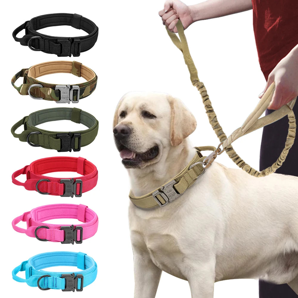 Durable Military Tactical Dog Collar and Nylon Leash Set for Training