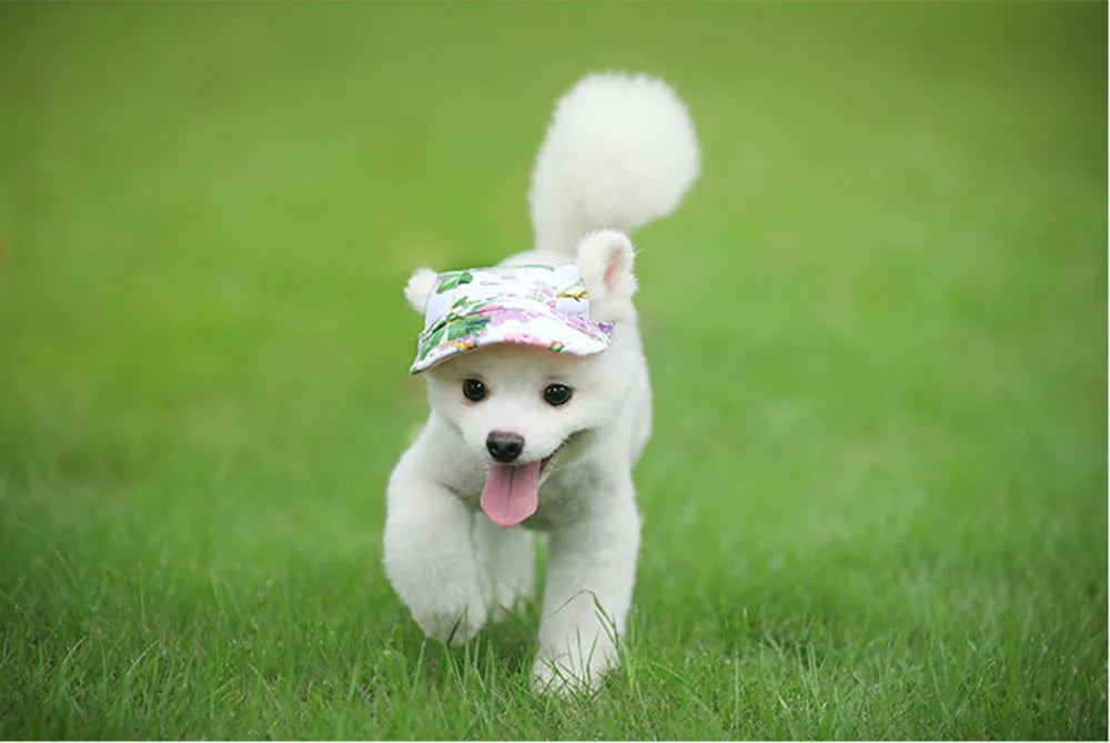 Dog Sun Hat - Adjustable Baseball Cap with Ear Holes for Small, Medium, and Large Dogs