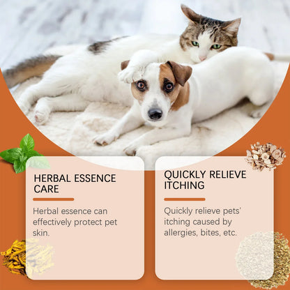 Special Care Ointment for Cats and Dogs, Skin and Fungal Infections Treatment