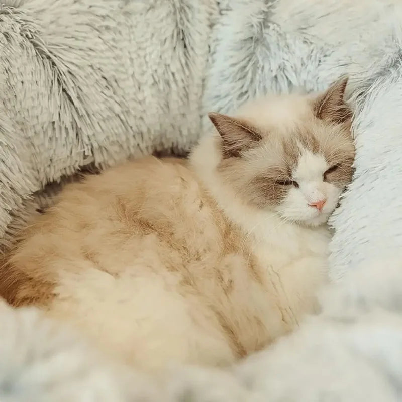 Plush Cat Bed with Tunnel, Donut Design