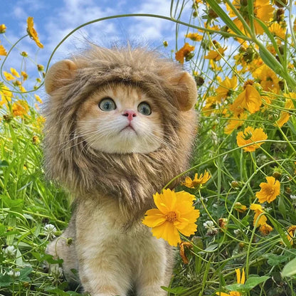 Fun Lion Mane Hat for Pets