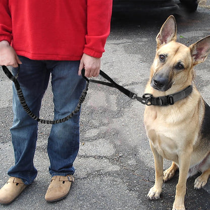 Durable Military Tactical Dog Collar and Nylon Leash Set for Training