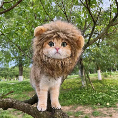 Fun Lion Mane Hat for Pets