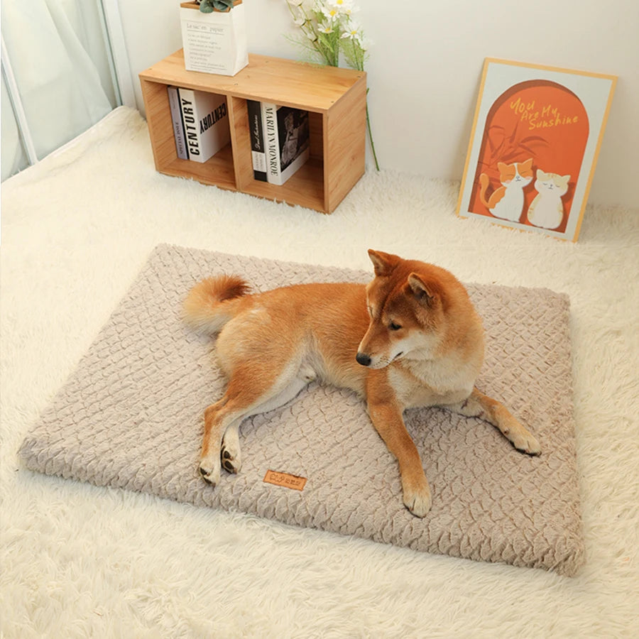 Removable Washable Plush Pet Bed, High Elasticity No-Collapse Dog Bed for Small and Medium Dogs