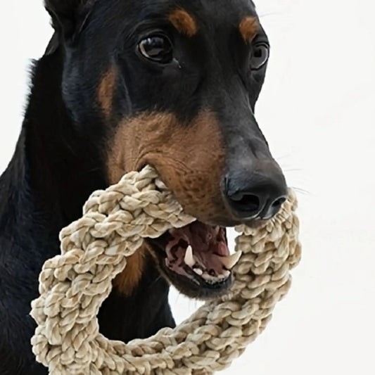 Durable Rope Toy for Dogs, Bite-Resistant Tug Toy for Medium and Large Dogs