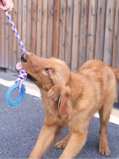 Interactive Training Ring for Dogs, Spike Toy for Teeth Cleaning