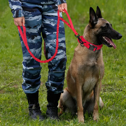 Durable Military Tactical Dog Collar and Nylon Leash Set for Training