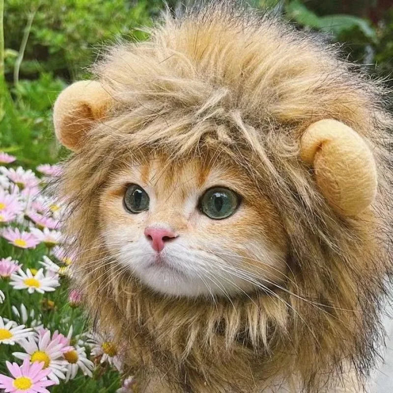 Fun Lion Mane Hat for Pets