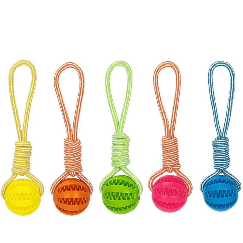 Pet Treat Balls with Rope - Interactive Chew Toy for Dogs