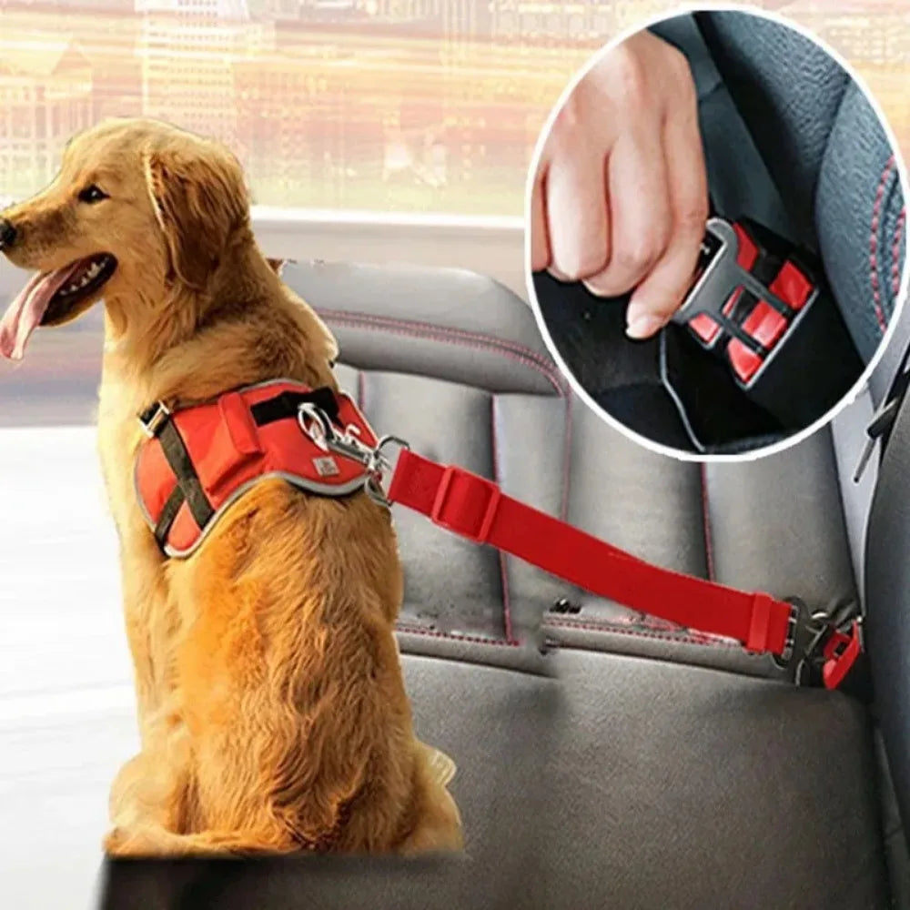 Dog Accessories for Car Safe Comfortable Travel Gear Paw Claw Lab